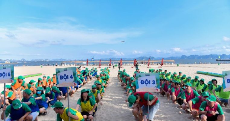 Chia đội tham gia trò chơi