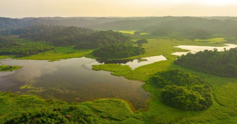 Rừng quốc gia Nam Cát Tiên