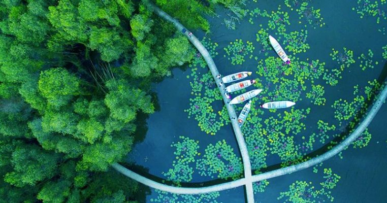 Làng nổi Tân Lập