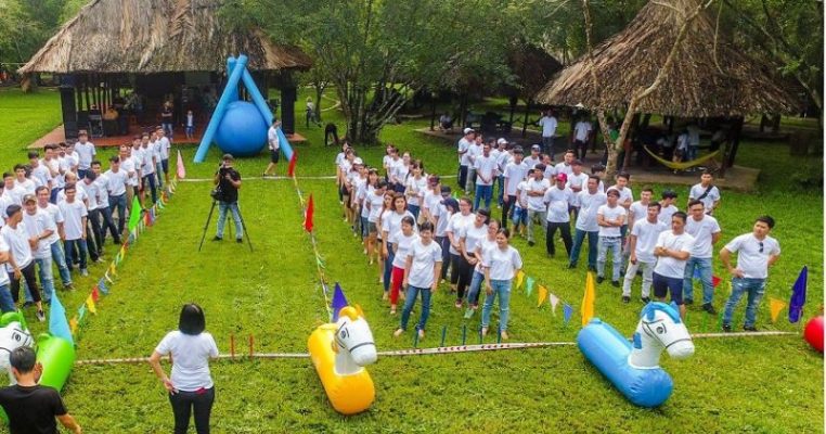 Bò Cạp Vàng là một trong những địa điểm tổ chức team building nổi tiếng